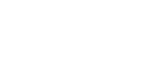 Tily Blooms